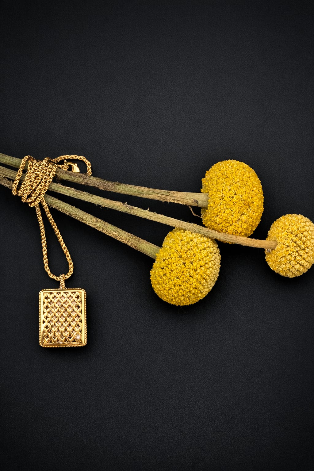 Instagram Madeleine Pomander